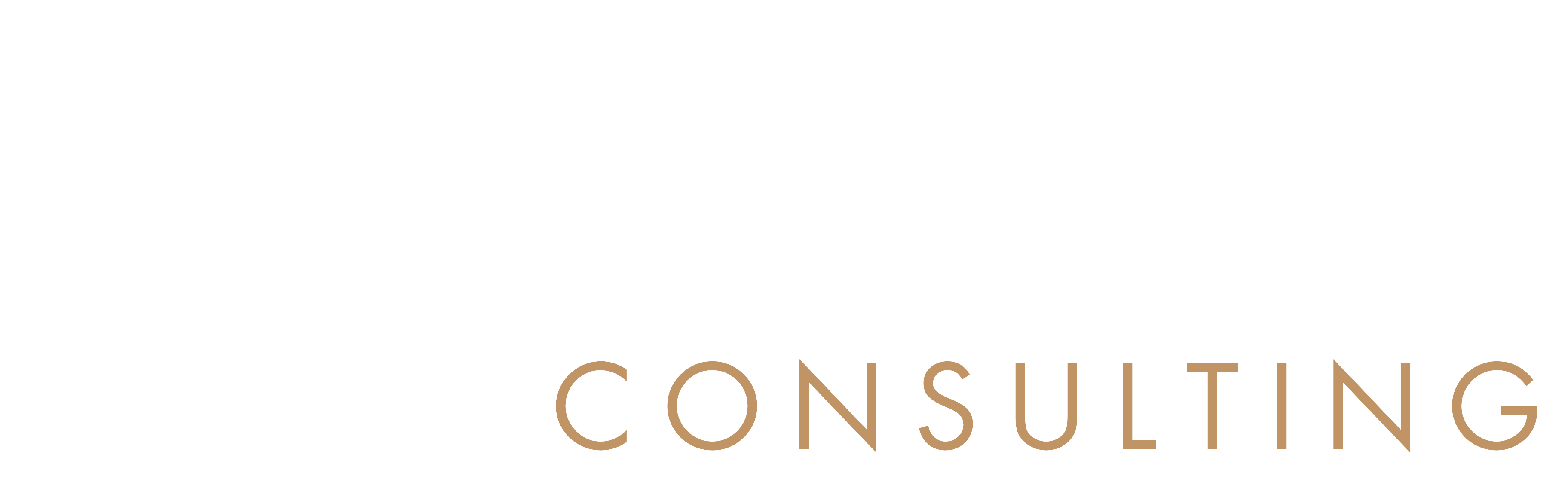 BC Website Consulting